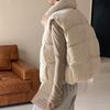 Winter new stand-up collar versatile short vest fashionable versatile cotton vest thin women's coat
