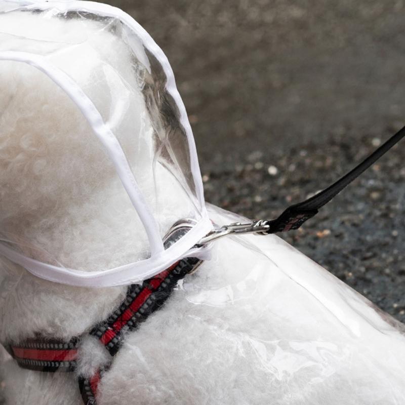 Transpicuous Recyclable Dog Rainwear With Easy Snap Conclusion Generous For Active Animals In Wet Weather