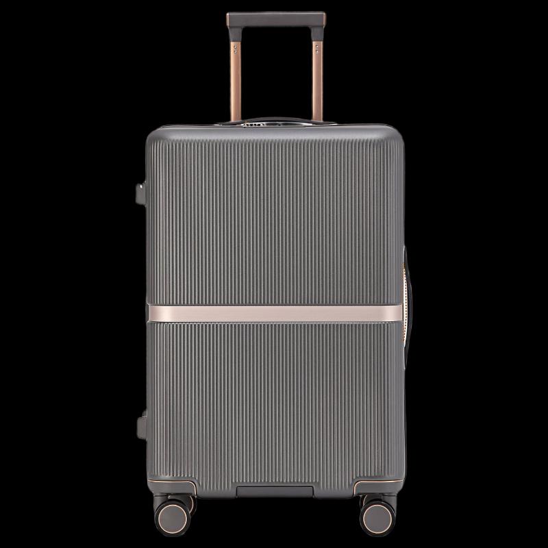 Жесткий чемодан LONE WOLF для ПК с замком TSA 20 inch