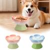 Ceramic Raised Cat Bowl With Flower Design Elevated Cat Pets Dog Dry Wet Food Bowl Snack Dish With Stand For Neck Protection