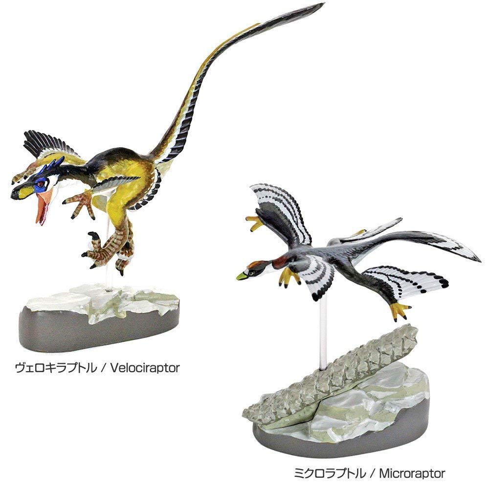 Calorata Feathered Dinosaur 3D Encyclopedia Includes Manual and Realistic Figure Educational Food Sanitation Law Gift Figures, (7 Dinosaurs, Stand),
