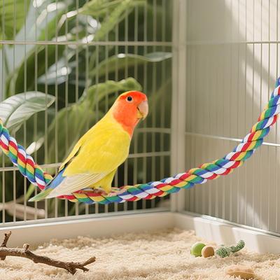 Cockatiel Rope Perch Interactive Colorful Swing Toys Cockatiel Perch Bird Cage Swing Toys for Parakeet Conure Canaries Hamster