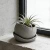 Plastic Irregular Flower Pot with Drainage Holes Growing Pots Succulent Plant Pots  Office Desk