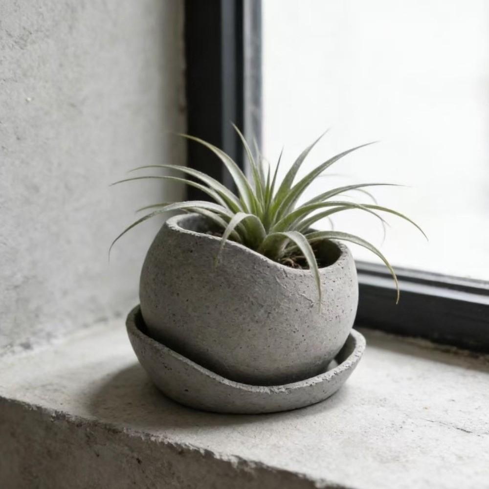Plastic Irregular Flower Pot with Drainage Holes Growing Pots Succulent Plant Pots  Office Desk