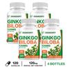 Capsule di estratto di Ginkgo biloba, 120 mg per dose, alta concentrazione di essenza di ginkgo, adatte sia per uomini che per donne.