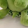 20CM Super Cute Kawaii Big Eyes Green Turtle Plush Animal Toys Birthday Gift for Girls and Children