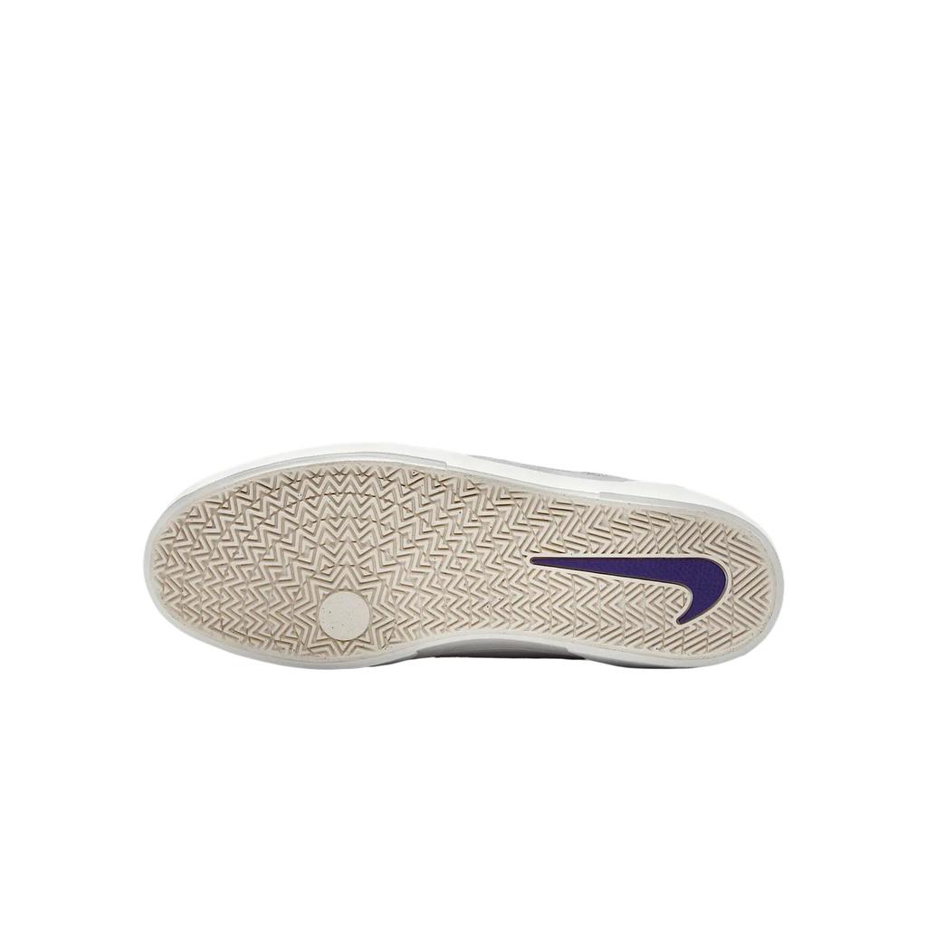 Nike Sb Malor Platinum Tint Wolf Grey Summit White Court Purple Skateboard Shoes FV6064-006