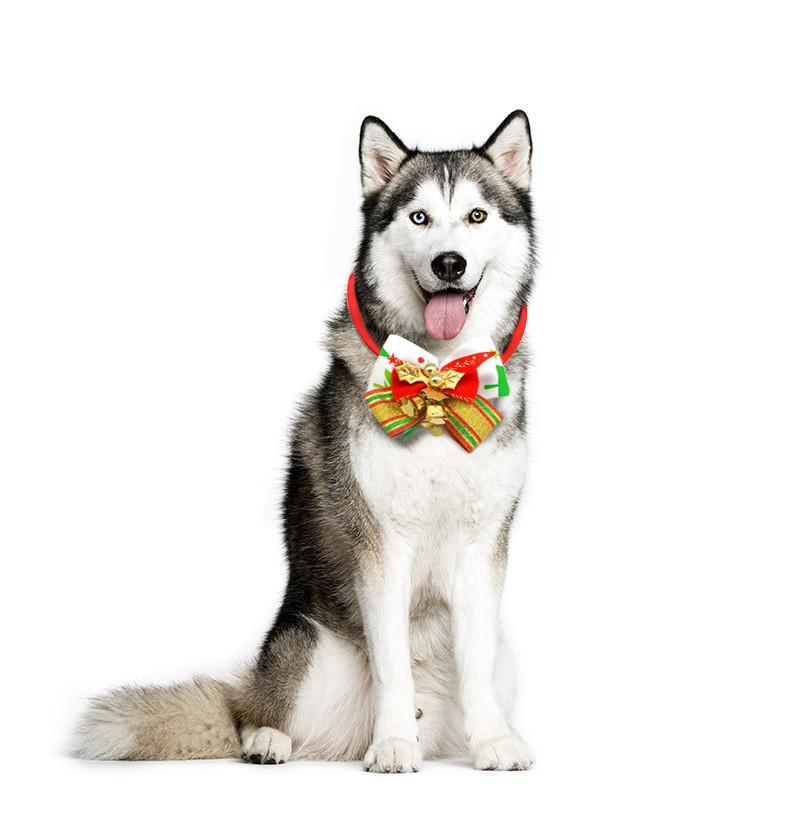 Elegant Pet Christmas Bowtie For Cats And Dogs In Colorful Polyester For Festive Fun