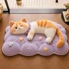 Non-Slip Cat  Area Rug 2D Cartoon Carpet Soft Home Decor Carpet  Living Rooms