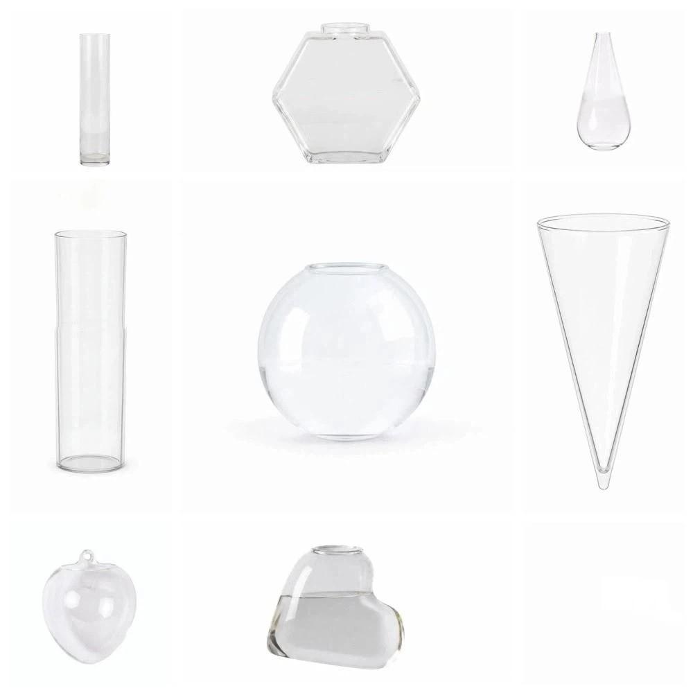 Vase Hydroponischer Pflanzenhalter Unregelmäßige Form Wanddekoration Bürodekoration