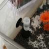 Mini Aquarium Water Purifier Ultra-quiet Fish Tank Sponge Filter Pumps  Increase Oxygen