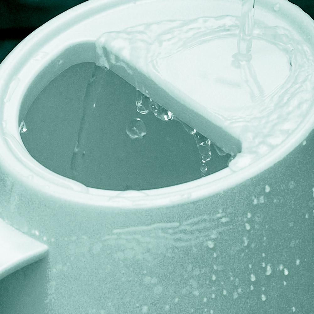 1.8L Watering Can with Removable Sprinkler Portable Watering Pot Long Handle Practical Plant Sprinkler for Home Flowerpots