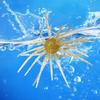 6PCS/Lot Elastic Floating Lures Baits Shaped Like Sea Urchins With Build In Flash For Biggest Visibilities Underwater