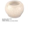 Realistic Coconut Silicone Mold for Chocolate Pudding DIY No-Bake Mousse Cake Baking Tool Simulated Coconut Milk Jelly Dessert Maker