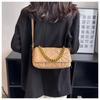 Trendy Chic City Minimalist Women's Crossbody Bag 2024 Winter Quilted Chain Handbag