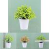 Plastic Faux Greenery Indoor Outdoor Plant Pot Decorative Small Potted Plant For Desk