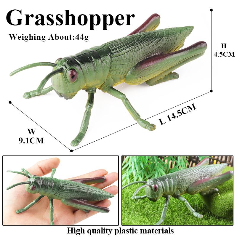 Oenux Insect Animals Model Figurine Butterfly Ant Dragonfly Spider Bee Mantis Scorpion Action Figures Educational Kid Toy Gift