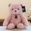 Cartoon Gala Bear Plush Toy Couple Teddy Bear Valentine's Day Gift Children's Sleeping Pillow Souvenir