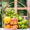 Portable Fruit Basket Clear Fruit Serving Bowl Multipurpose Plastic Organizer with Handle for Fruits