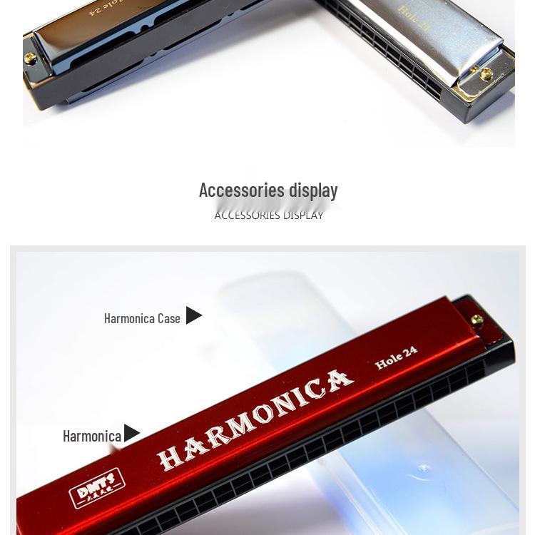 Big Beauty Angel 24-Hole Diatonic Harmonica & 37-Key Melodica for Adults & Beginners