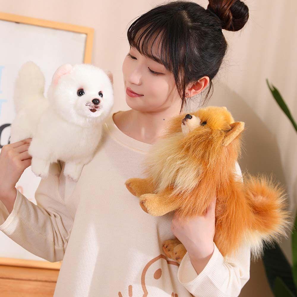 Real Life Pomeranian Plush Toy Stuffed Animals Stuffed Puppy Doll  Children Toy