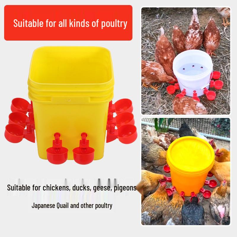 Automatic Poultry Water Drinker Cup for Chickens, Ducks, Quails, and Birds