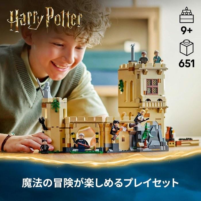 LEGO Harry Potter Hogwarts Castle: Flying Lesson 76447 (Multicolor)