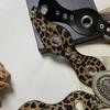 Leopard Women's Rivet Belt Vintage Dress Jeans Belt Leather Waistband  Waist Accessories