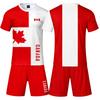 Men's 2 Piece Short Sleeve T-Shirt and Shorts Set, Color Casual Wear, Loose Fit