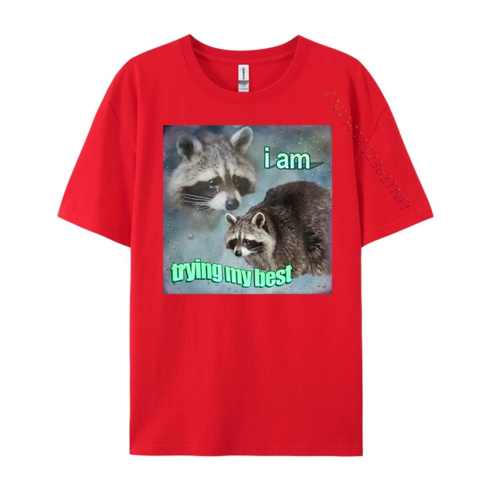 Raccoon I Am Trying My Best Sad Unisexs Korean Fashion Unisex Oversized T Shirt