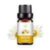 Rose Essential Oil - 10ML Aromatherapy Perfume Oil with 27 Fragrances