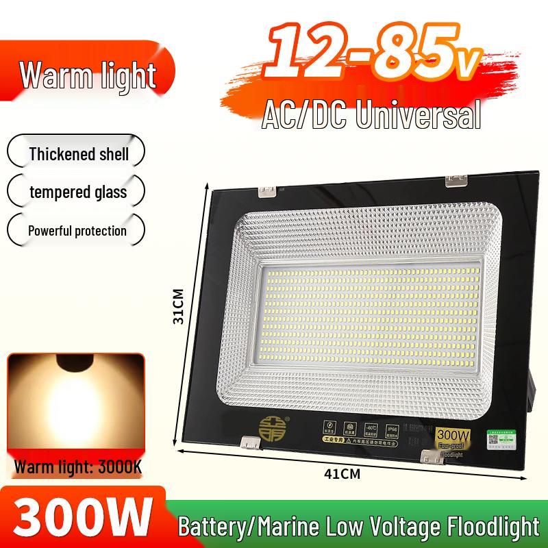 Yaming Marine LED Floodlight: 100W Outdoor Waterproof Spotlight for 12V/24V/36V DC Battery