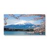 Obraz na plátně Mount Fuji Nástěnné umění Cherry Blossoms in Japan Plakáty a obrazy Krajina Květinové obrazy pro výzdobu obývacího pokoje