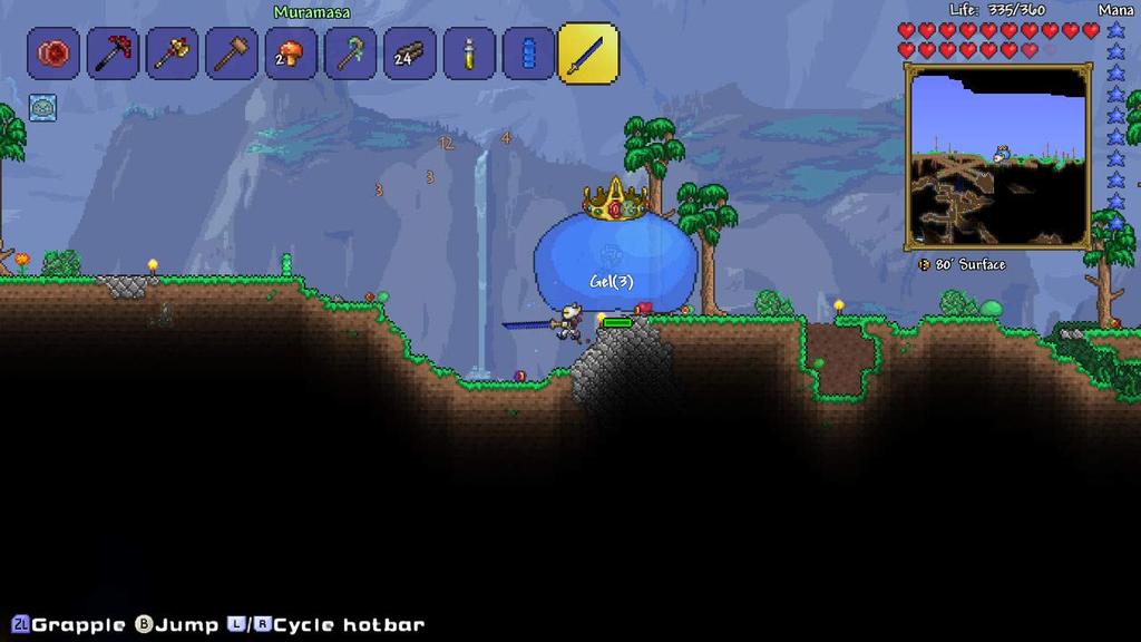 Terraria Switch -