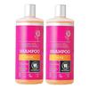 Rose Shampoo 500ml X 2 Oily, Mildly Acidic, Men and Women (25468917)
