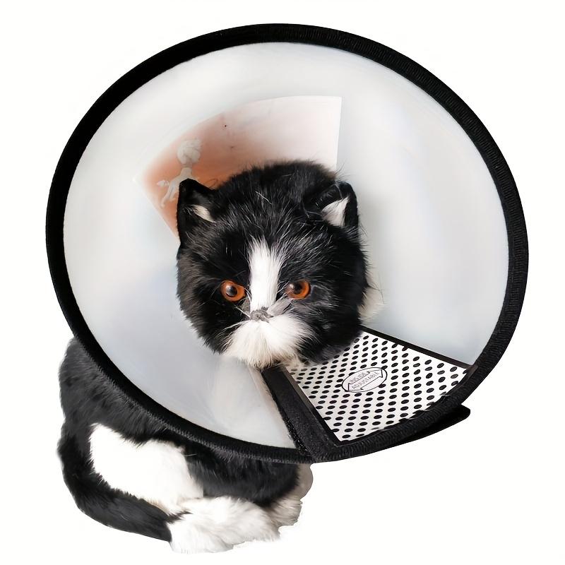 1pc Adjustable Soft Pet Collar for Cats Scratch & Bite Resistant, Comfortable Recovery Cone with Black Trim, White PP Material