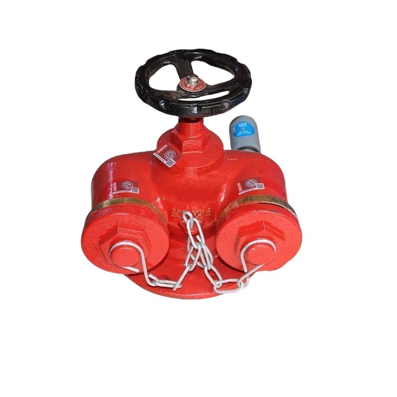 Linpan SQD150-1.6 Multi-function Ductile Iron Fire Pump Connector SQD150-1.6