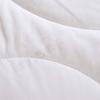 Fuanna Royal Dream Premium All-Season Silk & Polyester Quilt