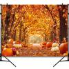 2D Fall Maple Tree Backdrop, Autumn Pumpkin Lane with Lights Thanksgiving Photography Background