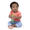 Bright Starts Oball Oshaker Teething 81107 (Ages 0+) Rattle, Toy,