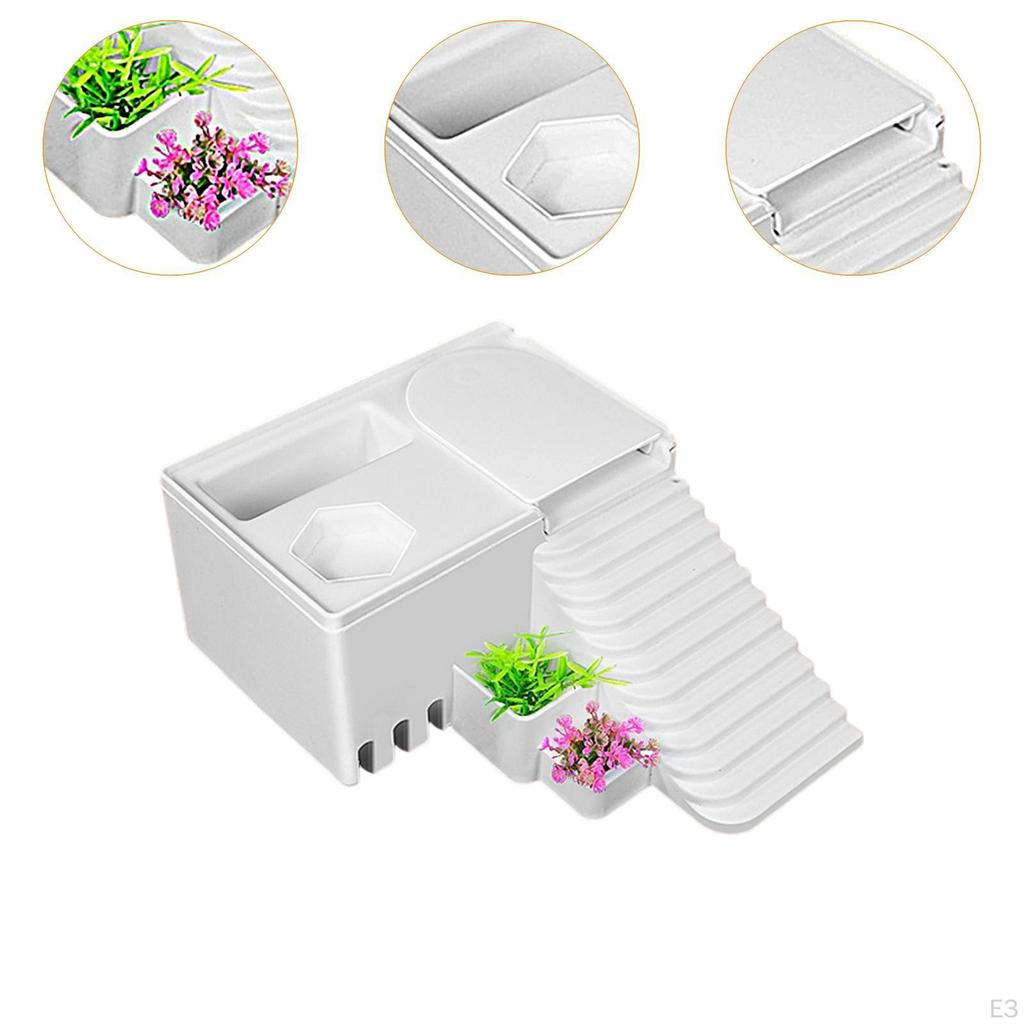 Rampă pentru Terariu Reptile și Broaște Țestoase