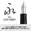 PILOT Custom Heritage 912 Fountain Stub SU vertical horizontal Black FKVH2MRBSU Pen, (Bold line, Medium-fine line),