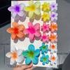 Gradient Plumeria Claw Clip Set: 18-Piece Floral Hair Accessories