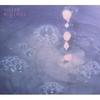 CD WATER BORDERS  Harbored MANTRAS TRIANGLE09 TRI ANGLE 2011 UK Dance  Electronica Used