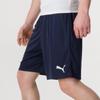 PUMA Men's Summer Knit Shorts