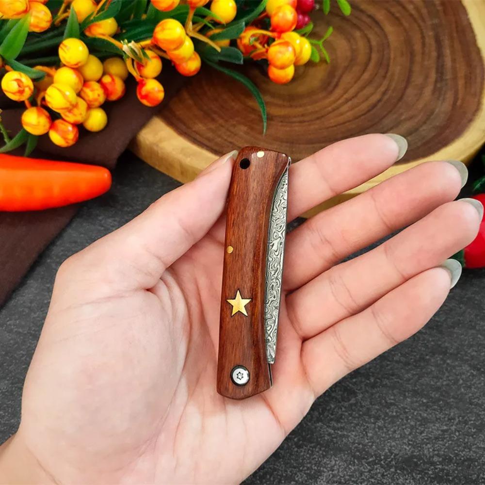 Damascus Steel Portable Meat Eating Outdoor Camping Mini Folding Knife Sharp Fruit Knife