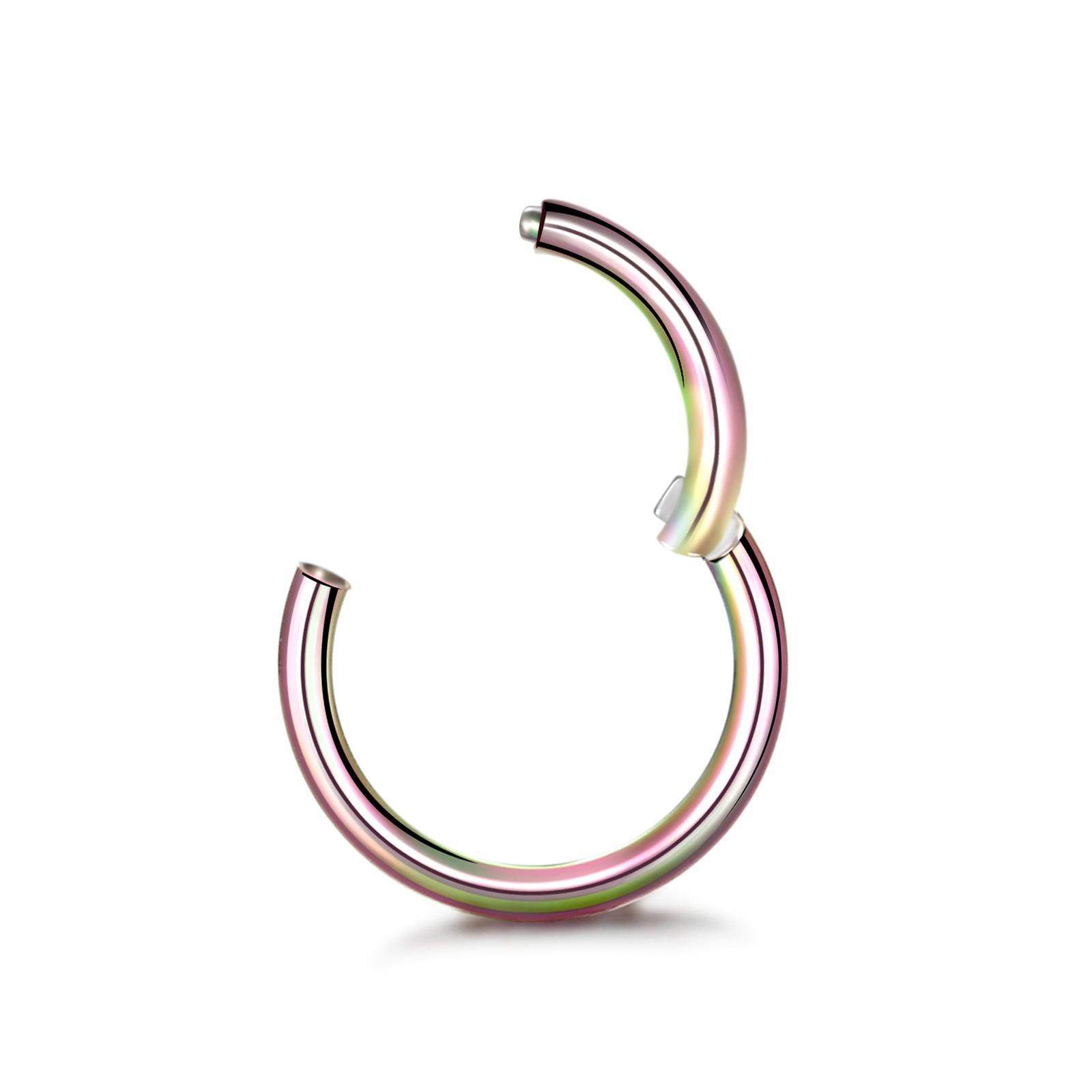 

1Pc 316L Stainless Steel Nose Septum Clicker Hinged Segment Ring Nose Hoops Lip Ear Cartilage Ear Helix Body Piercing Jewelry 18G 1.0x6mm