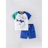 2024 Children's Clothing Boys' Short-Sleeved T-Shirt Set Kidsren's Pure Cotton Summer Half-Sleeved Top Casual Shorts Two-Piece Set 8