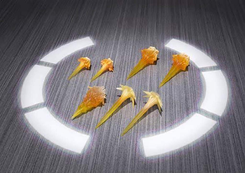 TAMASHII NATIONS Iron Approximately and Painted Action Figure S.H.Figuarts Patriot, 160mm, PVC, ABS, Die-cast