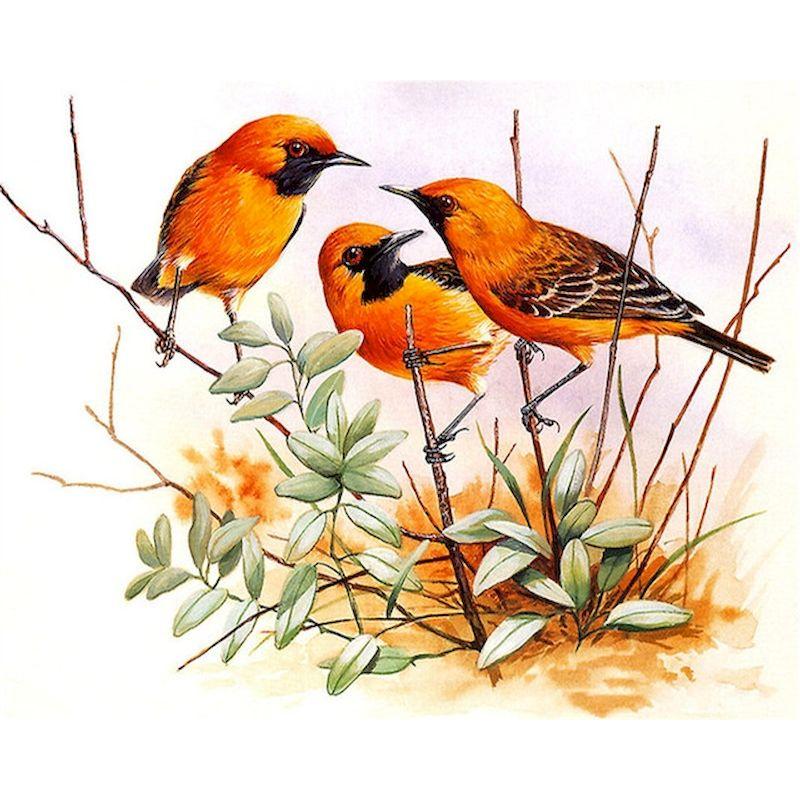 5d Full Diamond Painting Birds Mosaic Diamond Embroidery Creative Gift  Wall Paintings